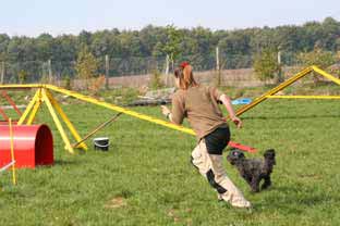 05 sep agility1