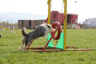 05 sep agility10