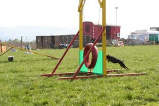 05 sep agility3