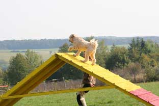05 sep agility5