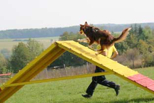 05 sep agility6