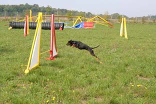05 sep agility7
