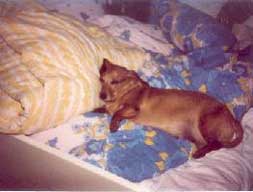 wacki im bett hp02 wacki im bett hp02