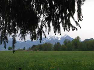 jagd berg