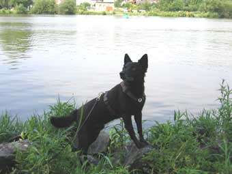 05 juli dampferfahrt41