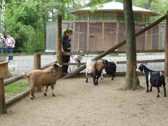 ms 05 juni wildpark sw2203