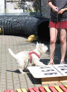 05 maimarkt nina1