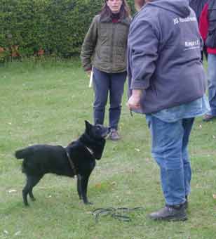 06 obedience2 06 obedience2