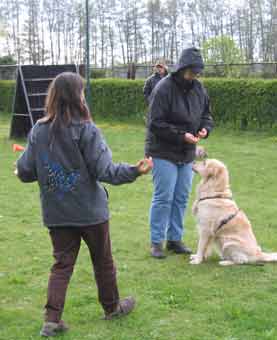 06 obedience7 06 obedience7