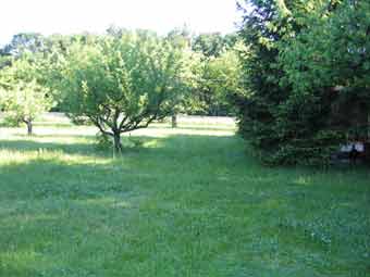 06 ernährung1 06 ernährung1