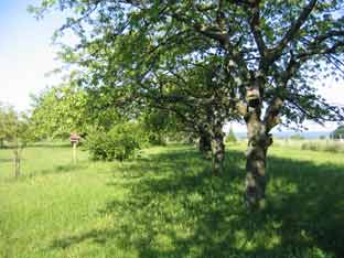 06 ernährung4 06 ernährung4
