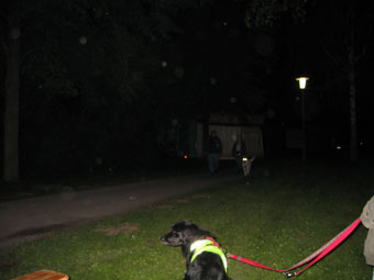 06 mai nacht2 06 mai nacht2