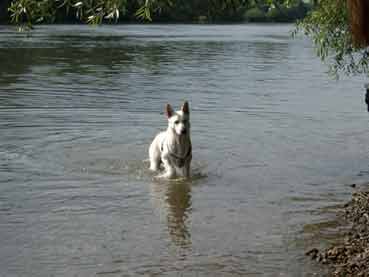 flocke wasser hp flocke wasser hp